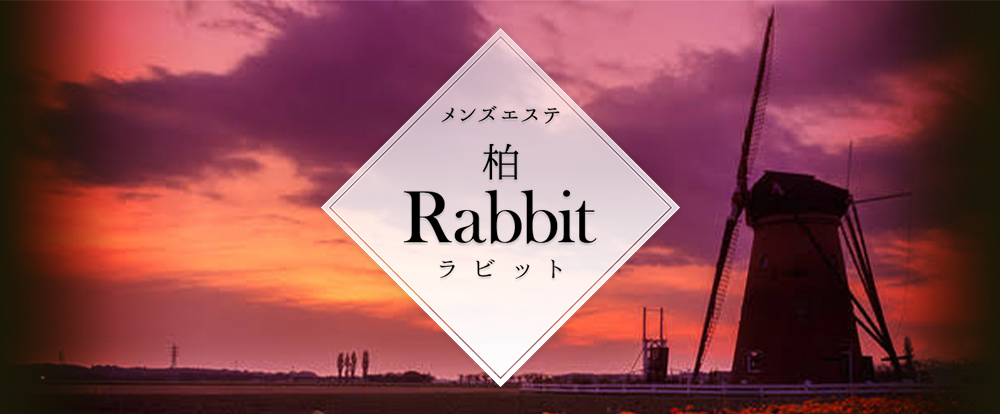 Rabbit 柏店